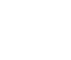 Sales Revenue