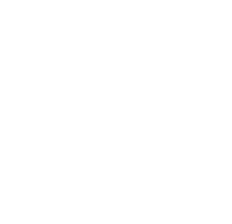 Net Management Fees
