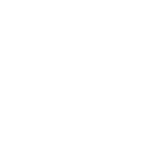 Net Profit